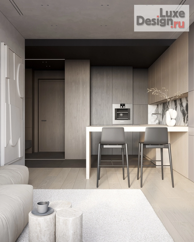 Дизайн интерьера однокомнатной квартиры "Нева хаус" (фото 5)