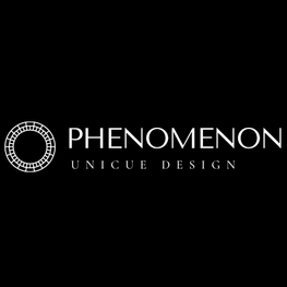 Дизайнер интерьера Дизайн интерьера PHENOMENON